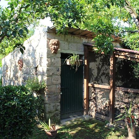Residenza Caserta Sud - Appartamento con giardino Exterior foto