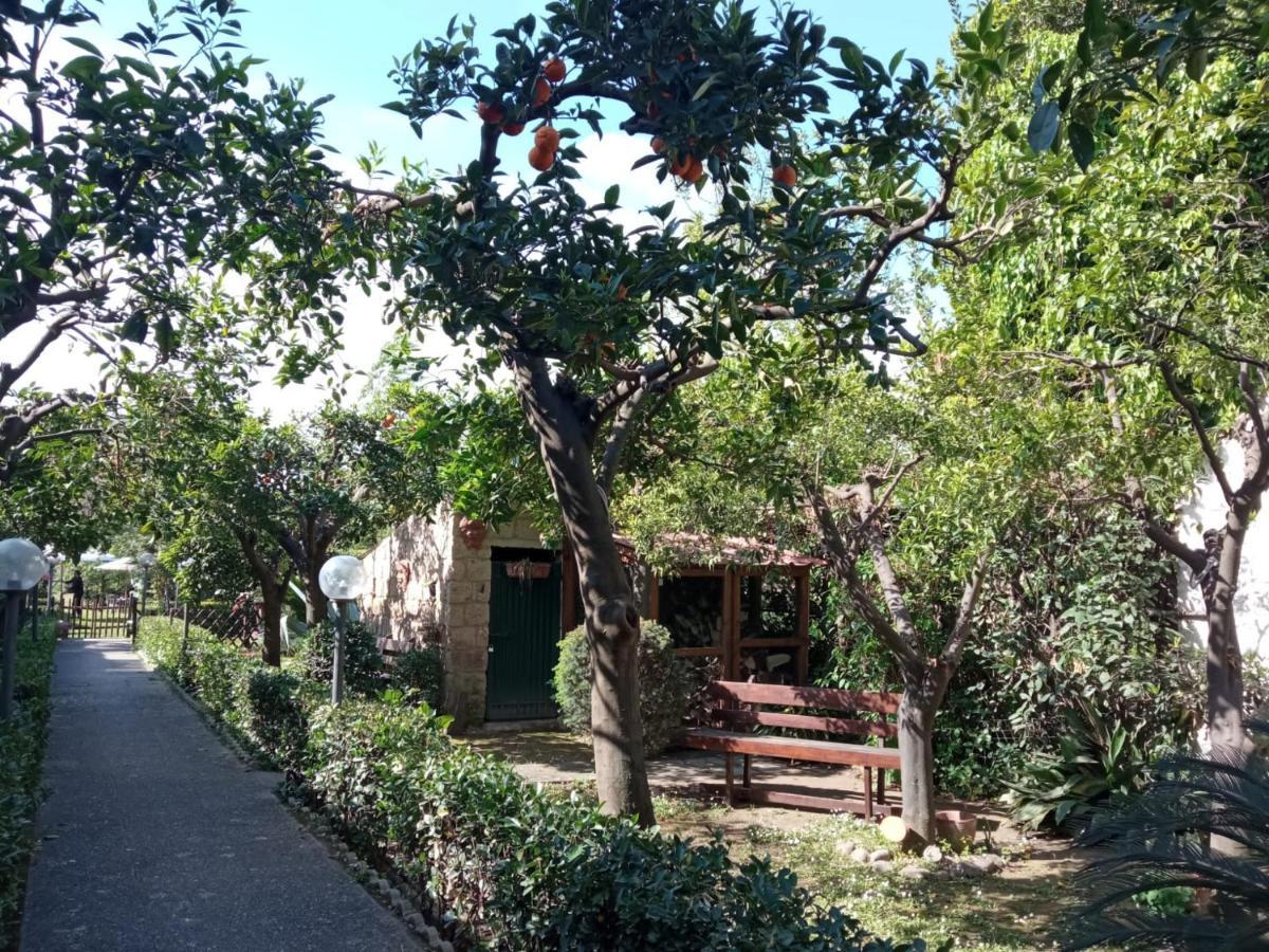 Residenza Caserta Sud - Appartamento con giardino Exterior foto