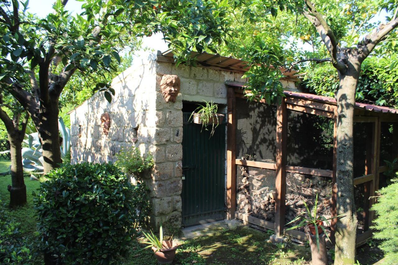 Residenza Caserta Sud - Appartamento con giardino Exterior foto
