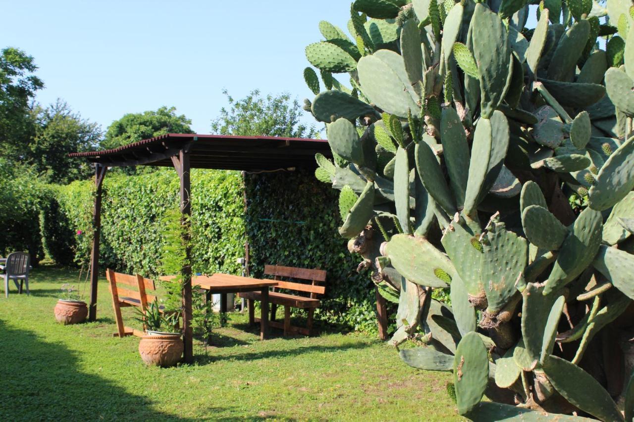 Residenza Caserta Sud - Appartamento con giardino Exterior foto