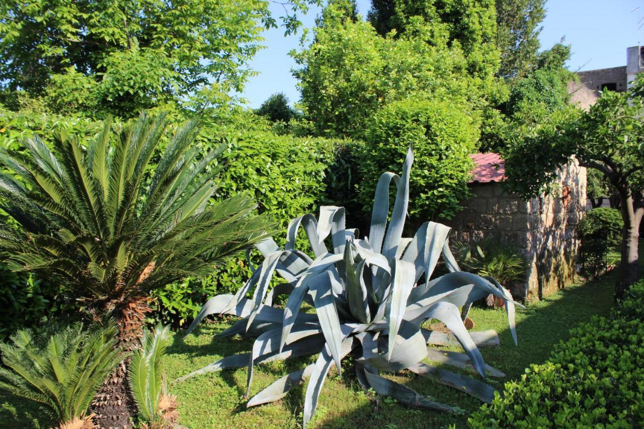 Residenza Caserta Sud - Appartamento con giardino Exterior foto